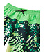 Reima Jungen UV Badeshorts Papaija Summer green
