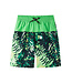 Reima Jungen UV Badeshorts Papaija Summer green