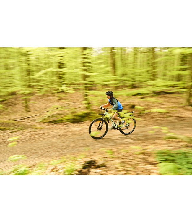 Color Kids Shorts Total Eclipse