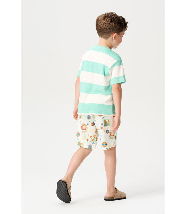 Noppies Jungen T-shirt Lutcher