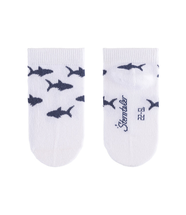 Sterntaler Sneaker Söckchen 3er-Pack Haie