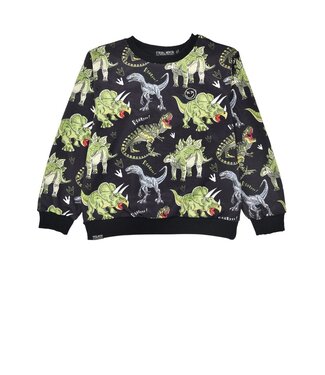 Bondi Jungen Pullover Dinoallover