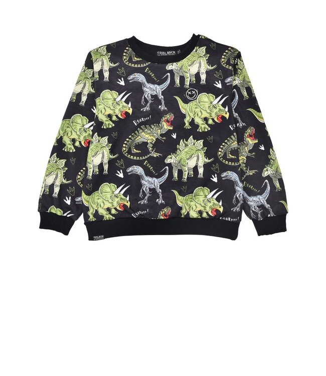 Bondi Jungen Pullover Dinoallover