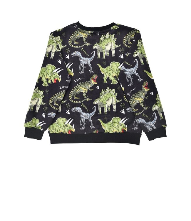 Bondi Jungen Pullover Dinoallover