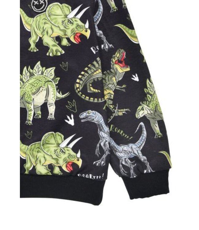 Bondi Jungen Pullover Dinoallover