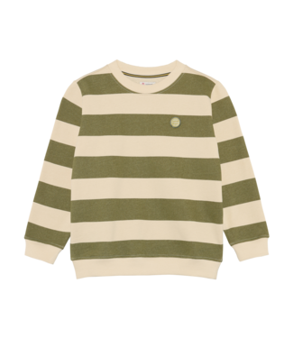 Noppies Jungen Pullover Raoul