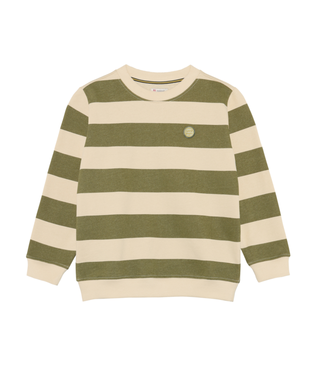 Noppies Jungen Pullover Raoul