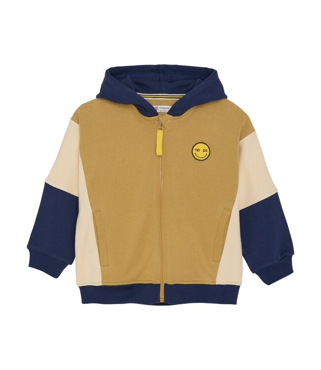 Noppies Jungen Kapuzenjacke Ridge