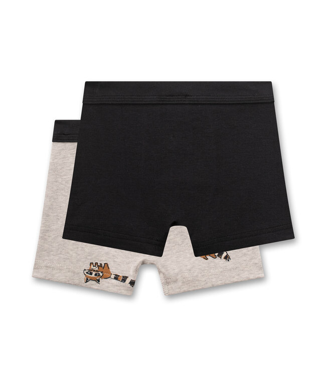 Sanetta Jungen-Shorts (Doppelpack) Waschbär