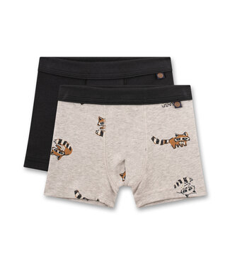 Sanetta Jungen-Shorts (Doppelpack) Waschbär