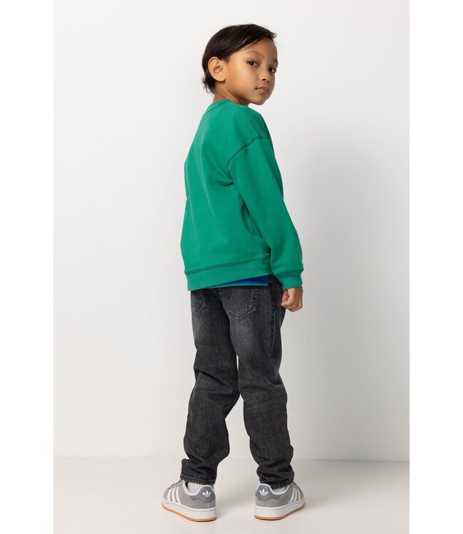 Noppies Jungen Pullover Ridgely