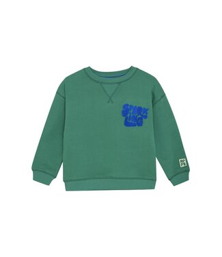 Noppies Jungen Pullover Ridgely
