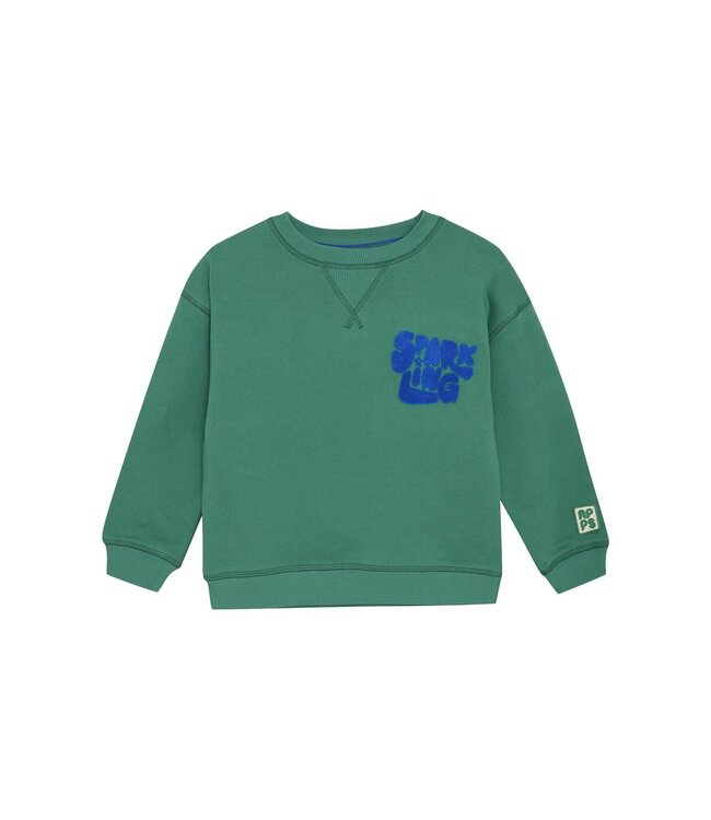 Noppies Jungen Pullover Ridgely