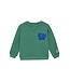 Noppies Jungen Pullover Ridgely