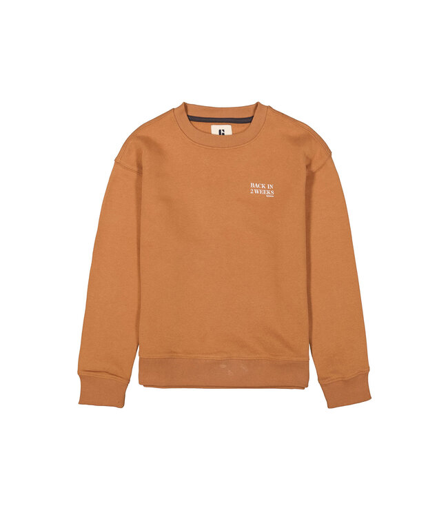 Garcia Jungen Pullover braun