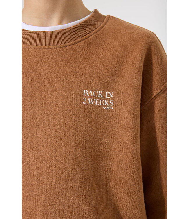 Garcia Jungen Pullover braun