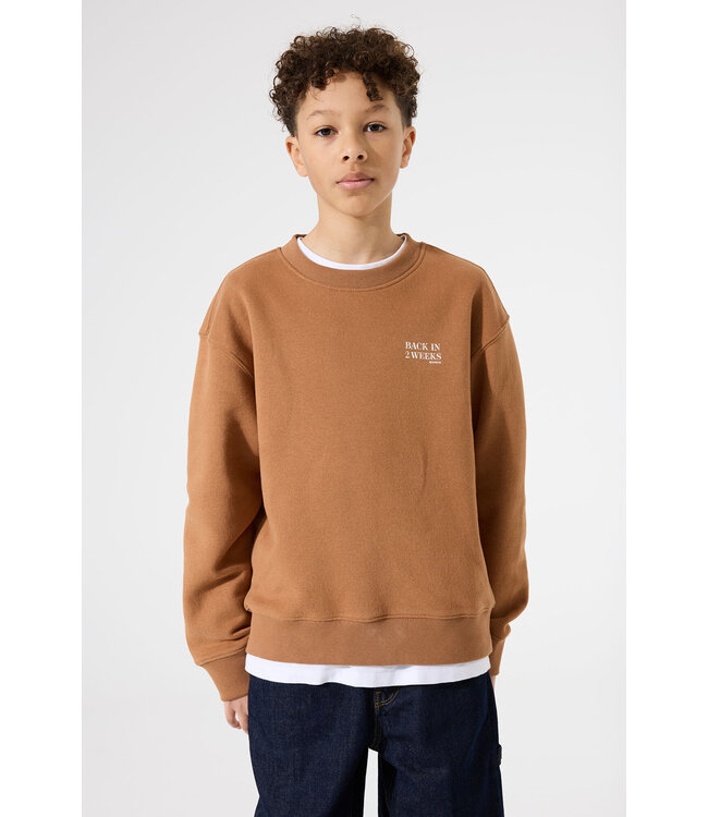 Garcia Jungen Pullover braun