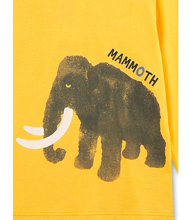 Sanetta Jungen Schlafanzug Mammut