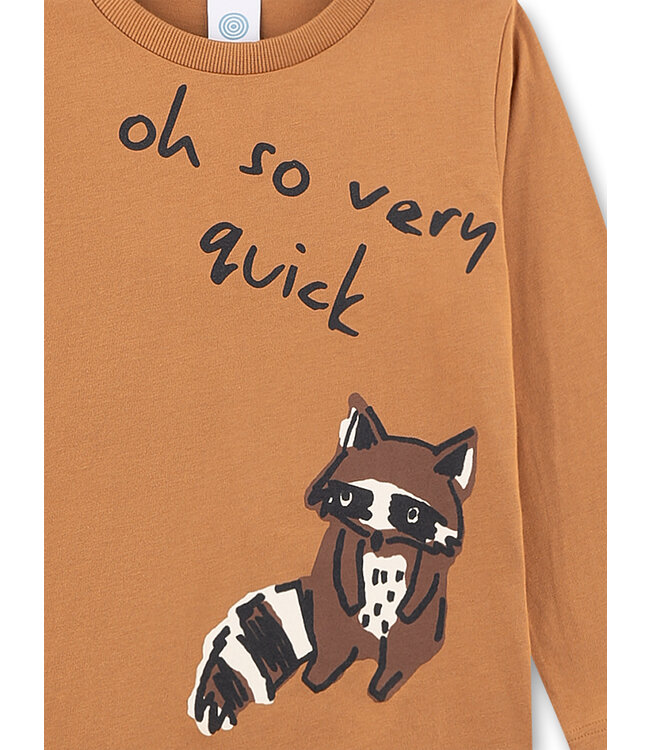 Sanetta Jungen Schlafanzug Waschbär