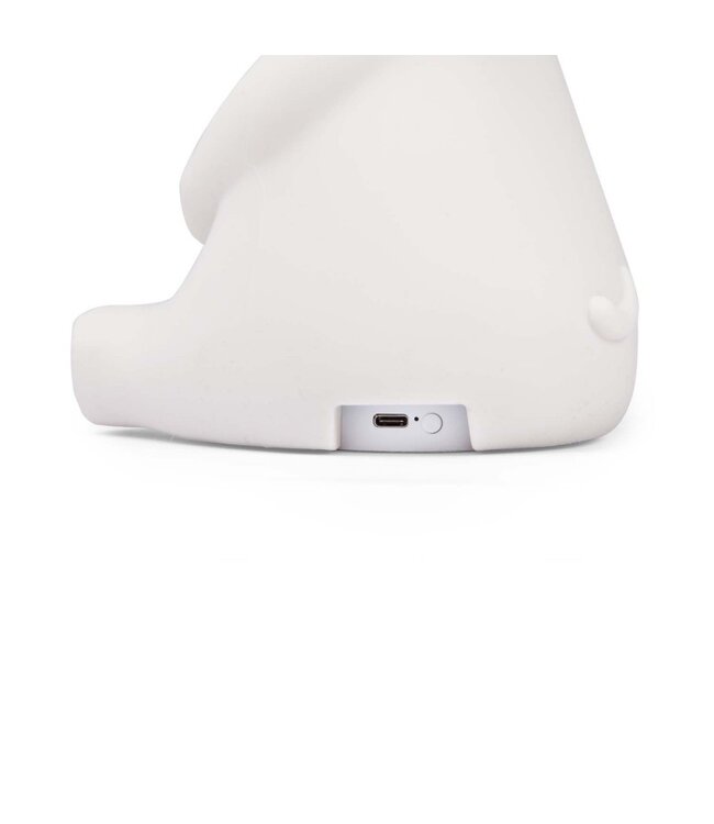 Moulin Roty Nachtlicht Hund