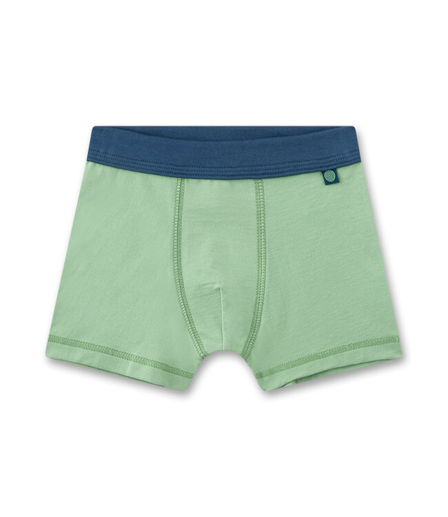 Sanetta Jungen-Shorts (Doppelpack) Krokodil