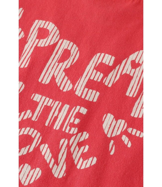 Noppies Mädchen T-Shirt Poinsettia