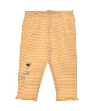 Bondi Kleinkinder Leggings Biene