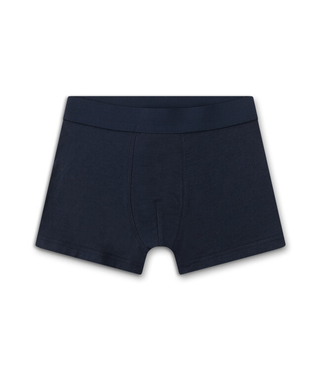 Sanetta Jungen-Shorts (Doppelpack) ride