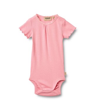 Wheat Baby Body Edna