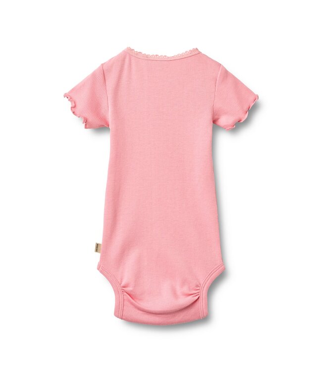 Wheat Baby Body Edna