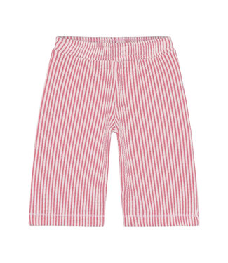 Noppies Baby Hose Poinsettia