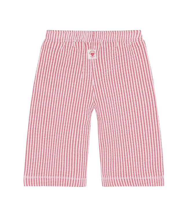 Noppies Baby Hose Poinsettia