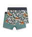 Sanetta Jungen-Shorts (Doppelpack) Leopard
