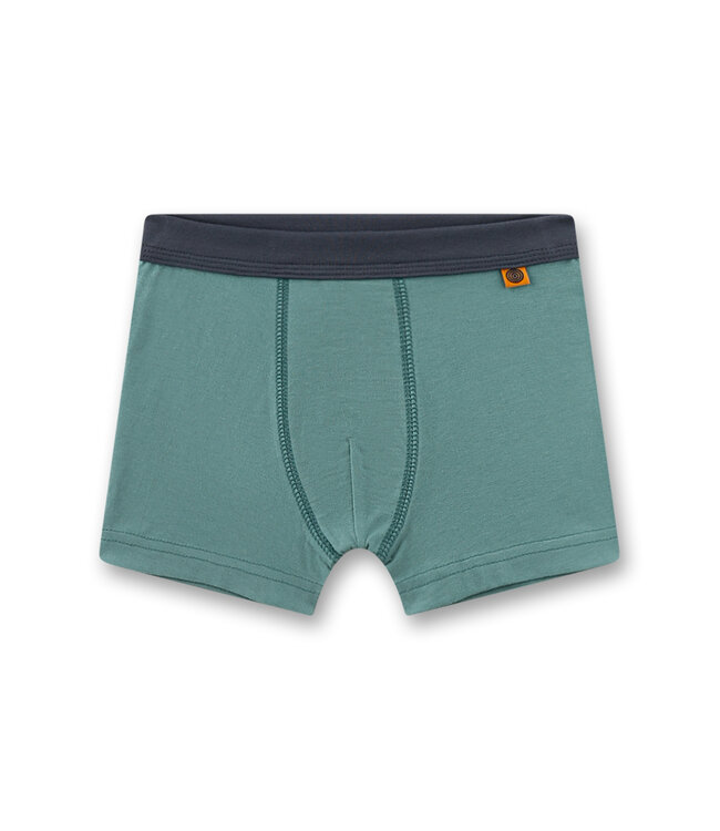 Sanetta Jungen-Shorts (Doppelpack) Leopard