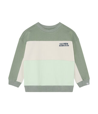 Noppies Jungen Pullover Lily Pad