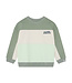 Noppies Jungen Pullover Lily Pad