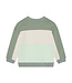 Noppies Jungen Pullover Lily Pad