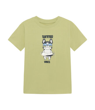 Minymo Jungen T-Shirt Winter Pear