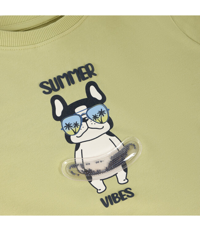 Minymo Jungen T-Shirt Winter Pear