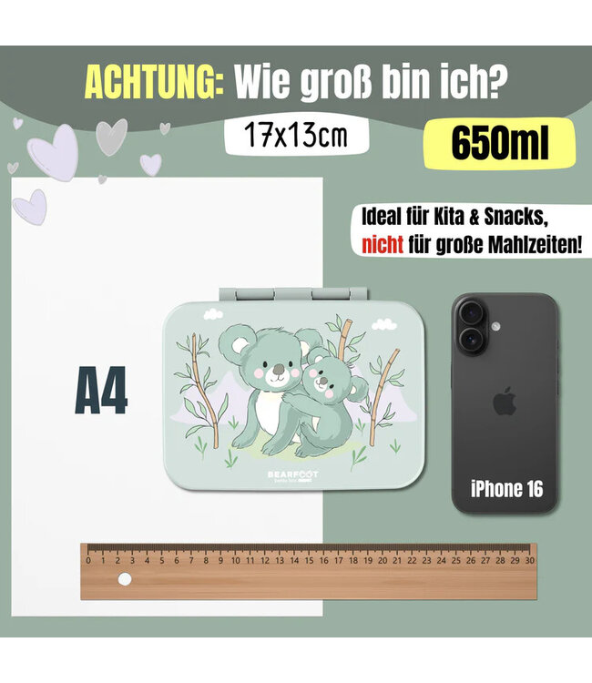 Bearfoot Brotdose Bento box COMPACT Koala Salbei