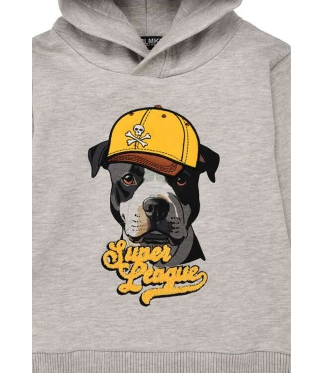 Bondi Jungen Pullover Super League