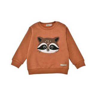 Bondi Kleinkinder Pullover Waschbär
