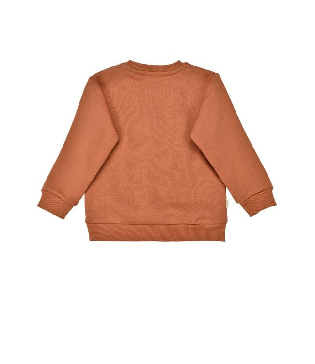 Bondi Kleinkinder Pullover Waschbär