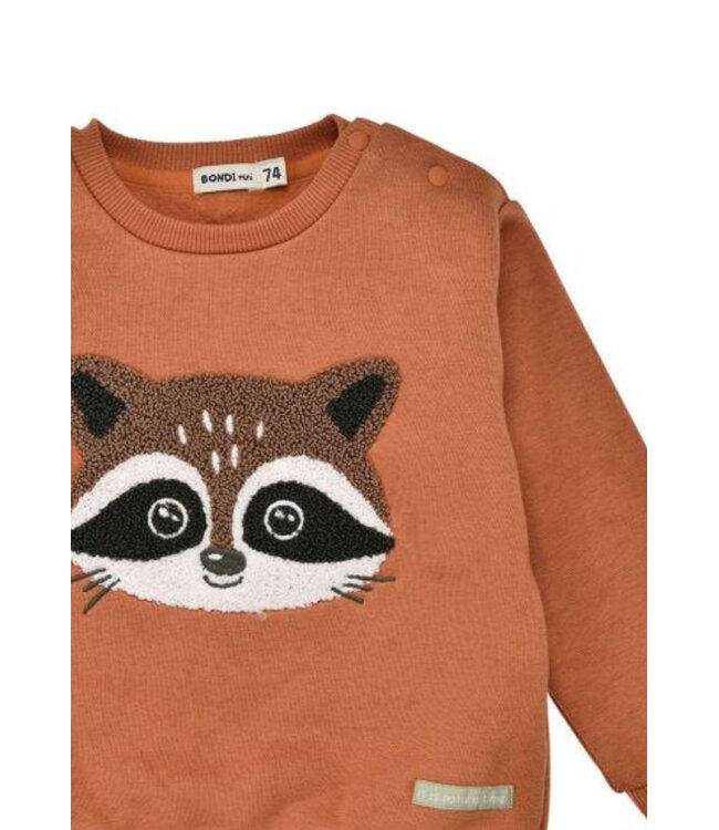 Bondi Kleinkinder Pullover Waschbär