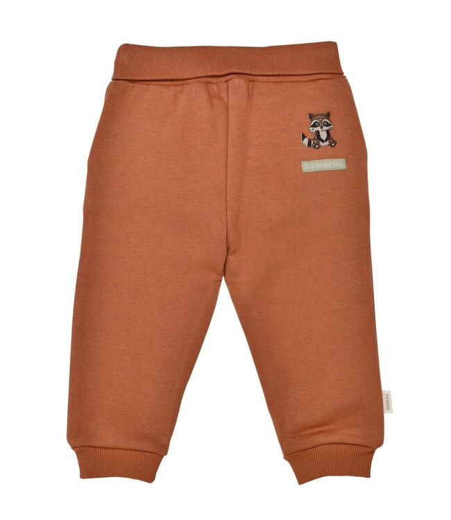 Bondi Kleinkinder Laufhose Waschbär