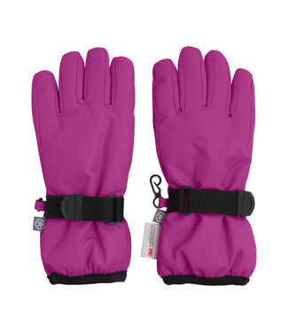 Color Kids Winter Handschuhe Wild Aster