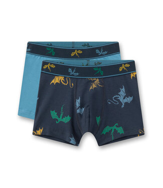 Sanetta Jungen-Shorts (Doppelpack) Drachen
