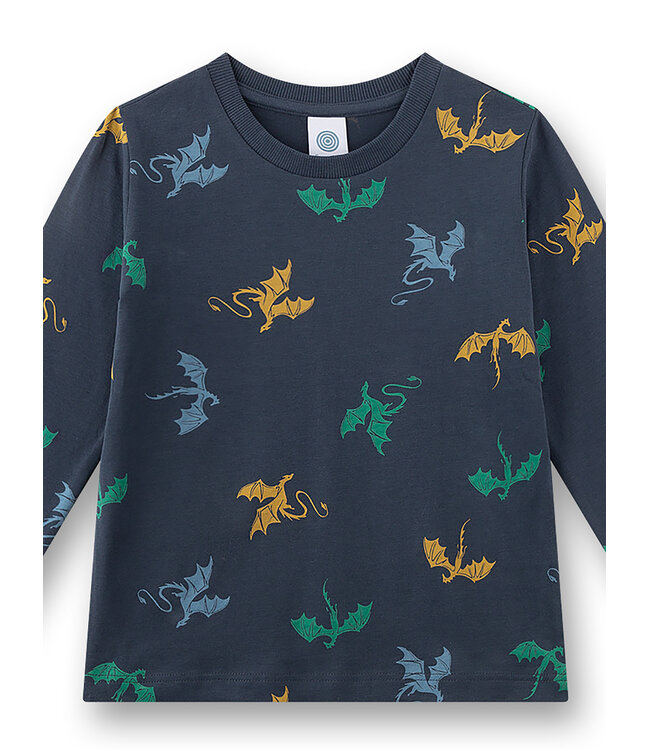 Sanetta Jungen Schlafanzug Drachen Allover