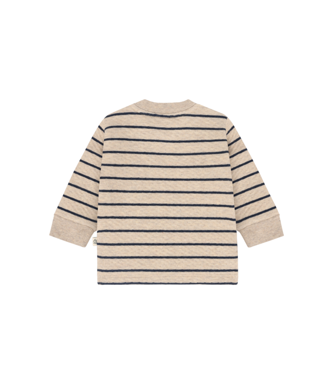 Hust & Claire Baby Pullover Sofus Dinos