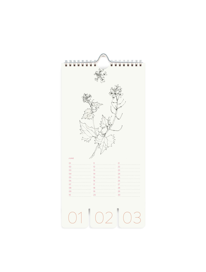 Birthday Calendar -  Graphic Botanique